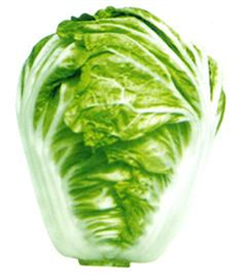 熱王子2號(hào)——白菜種子