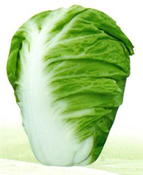 熱王子3號(hào)——白菜種子