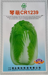 琴萌CR1239——白菜種子