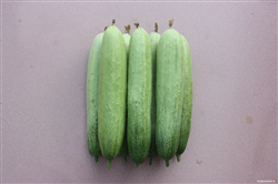 QPS-987 Cucumber——黃瓜種子