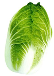 琴萌春王20——白菜種子