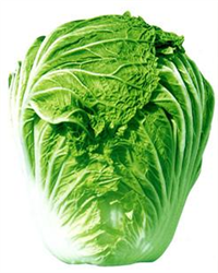 青雜9號——白菜種子